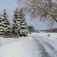 Зимний пейзаж :: Ирина Олехнович