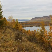 Сибирская осень. :: Наталья Юрова