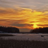 Морозный рассвет на заливе. :: Nikolay T