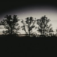 Темнота, деревья, месяц :: Анастасия Фролова