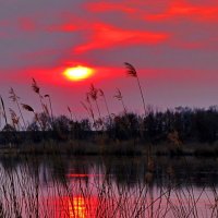 закат на Ондатровом озере :: Сергей Баранов (Ba-Se)