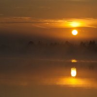 Ранним утром на озере :: Alexander Asedach