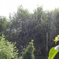 Летний дождь :: Викка Шкунова