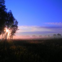 Туман ранним утром :: Олег Волков