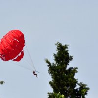 Чем бы мужик ни тешился... :: Василий Хорошев