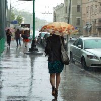Летний дождь :: Наталья Rosenwasser