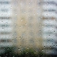Дождь окна лизал :: Ксения Мяу