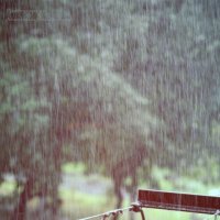 Летний дождь :: Анастасия Чапайкина