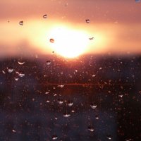 Sunlight in the rain drops :: Elena Dvorkina