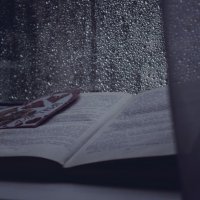 Лето, дождь, любовь... :: Даша Ерошенкова