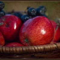 Яблочки и арония :: Татьяна Афанасьева