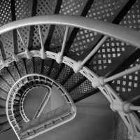 Вверх по лестнице, ведущей вниз. :: Wattletree -