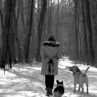 Зимняя прогулка по лесу. :: Мария Трубкина