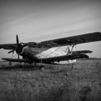 Малая авиация :: Денис Томилов