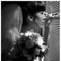 Полосатая невеста :: Janesvit Шейко