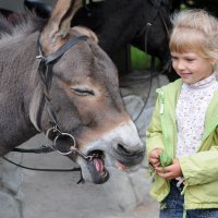 Улыбка :: Александра Синикова