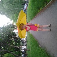 Летний дождик :: Анна Зубрилина