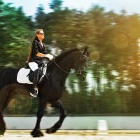 Лошади восхитительны! :: Мария Парамонова