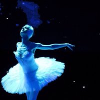 Swan lake :: Анастасия Осипова