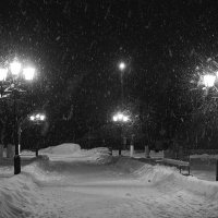 Снегопад. :: Сергей Иванов 