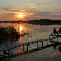 На закате в днепровских плавнях... :: Иван Солонинка