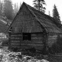 Дом в лесу :: Karina Malovatska