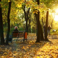 Осень в парке :: Сергей Филин