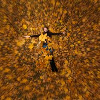 На ковре из жёлтых листьев.. :: Александр Губарев