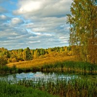 Осень на истоке Камы :: Владимир Максимов