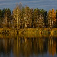 Осень на озере :: Денис Матвеев