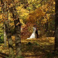 свадебная осень :: Святослав Лебедев