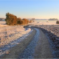 Дорога в зиму :: Виктория Иванова