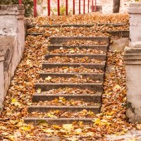 Лестница в Осень :: Виталий Качанов