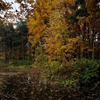 Осенний парк :: Александр Мельник
