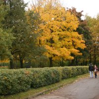 Прогулка в парке. :: Ара Маргарян