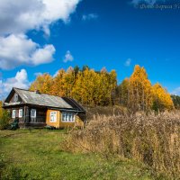 Осень в деревне :: Борис Устюжанин