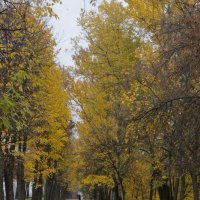 Осенний пейзаж :: Людмила Бондарева