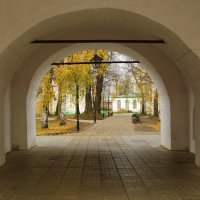 тоннель в осень :: Nataly_ru 