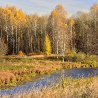 осень в Кондюрино :: Андрей Смирнов