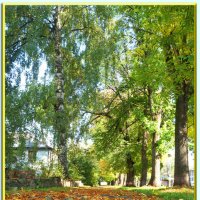 осень,листья и свет в конце аллеи ! :: Алексей Медведев
