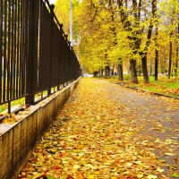 Осень в городе :: Yury 
