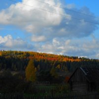Осенний лес... :: Полина Николаева