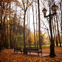 Осенний парк :: Наталья Ткачёва