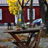 Yellow autumn in Finland :: Сергей Зыков
