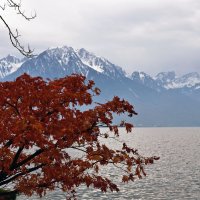 Осень на Женевском озере :: Valeriy(Валерий) Сергиенко