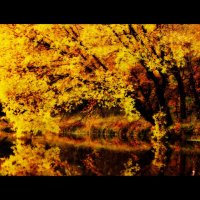 Осенние краски :: Саша Михайленко
