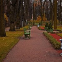 Поздняя осень в Летнем саду :: Сергей Григорьев