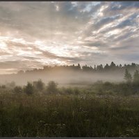 рассвет :: Елена Волкова