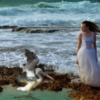 Девушка и море :: Cофия Ошер