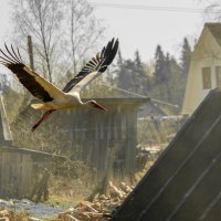 ... :: Сергей Михайлов